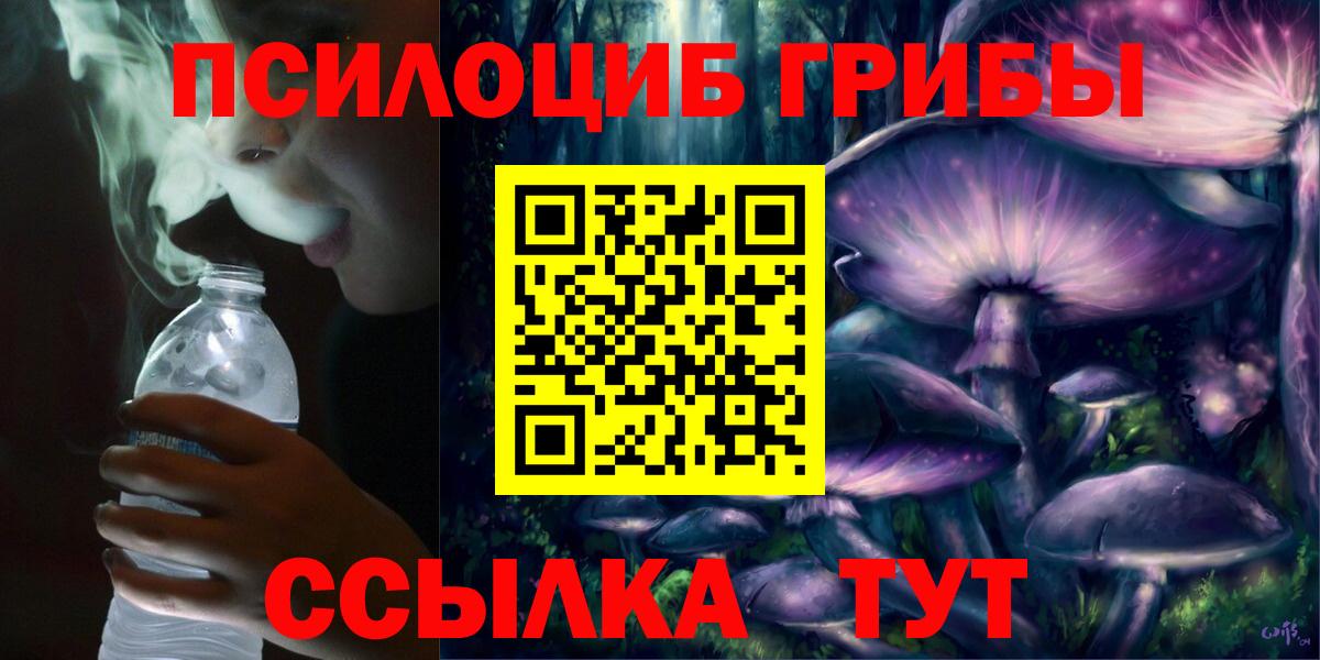 Псилоцибиновые грибы MAGIC MUSHROOMS  Вход с VPN  Кузнецк 